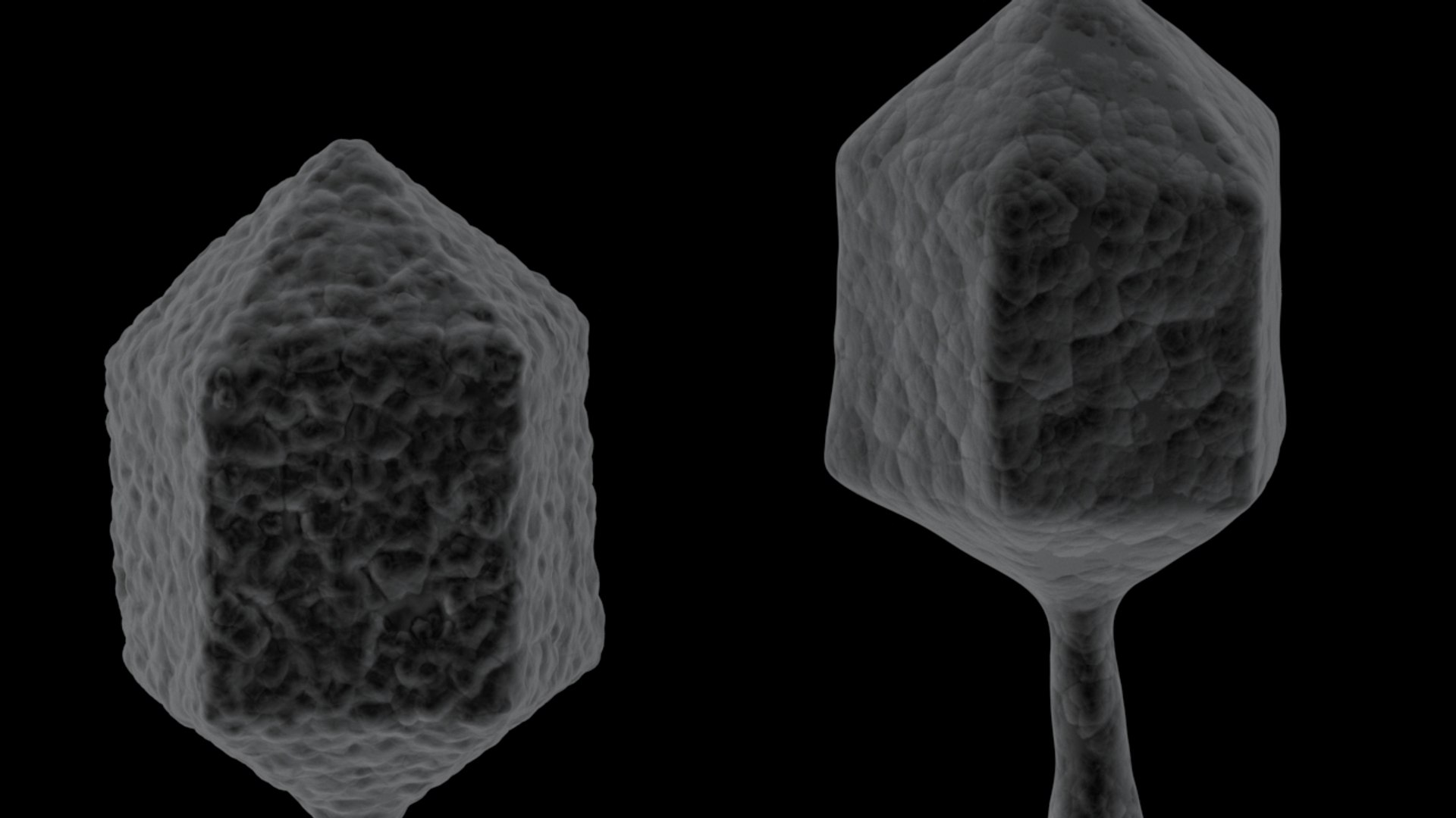 3D 2 bacteriophage model https://p.turbosquid.com/ts-thumb/IY/ks1xqb/6ZpJ9954/virus_6/jpg/1532516943/1920x1080/fit_q87/07aaeb86c789c210dfa61e80653bdd98fbbb1321/virus_6.jpg