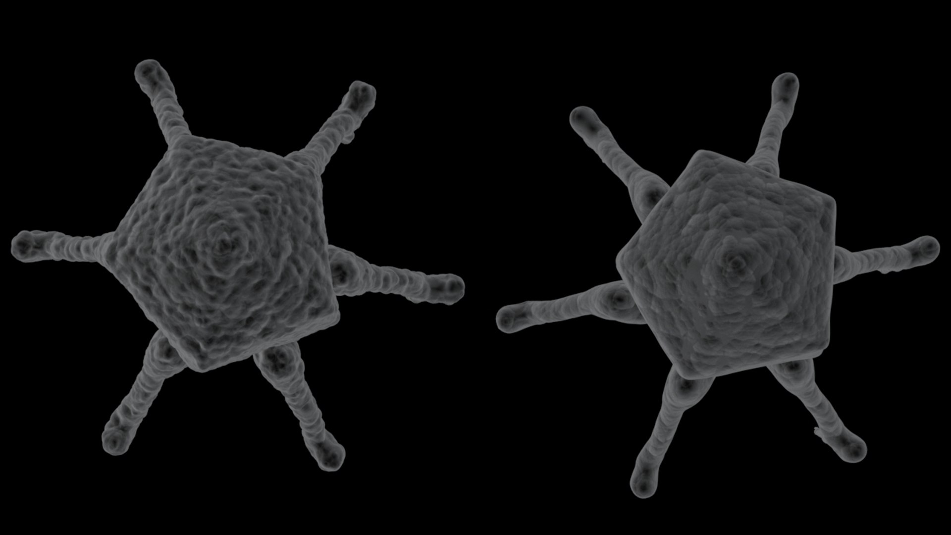 3D 2 bacteriophage model https://p.turbosquid.com/ts-thumb/IY/ks1xqb/7rJOrAk9/virus_18/jpg/1532516943/1920x1080/fit_q87/36f12f69df11672929ad53601c88ac88e6d0f345/virus_18.jpg
