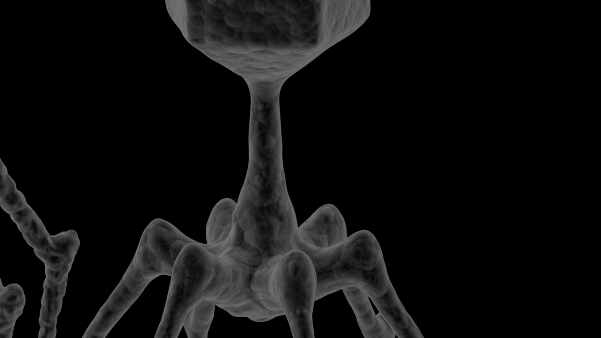 3D 2 bacteriophage model https://p.turbosquid.com/ts-thumb/IY/ks1xqb/HWwxN44G/virus_8/jpg/1532516943/1920x1080/fit_q87/fc774bb450f7159514cc58fedfb22b626da17d08/virus_8.jpg