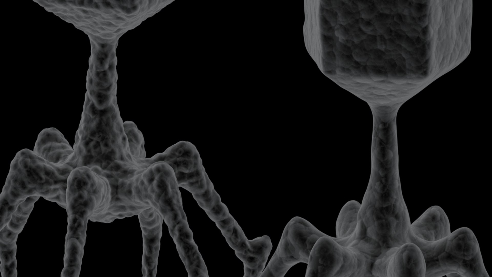 3D 2 bacteriophage model https://p.turbosquid.com/ts-thumb/IY/ks1xqb/RGlQPByO/virus_11/jpg/1532516943/1920x1080/fit_q87/067ea7c6f60b6f0b48e0994fce757443c8e8c513/virus_11.jpg