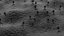 Confezione da batteriofago 2