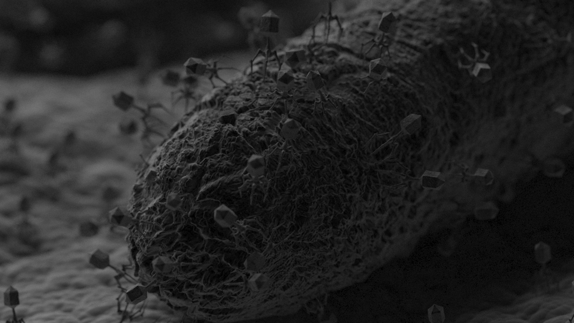 3D 2 bacteriophage model https://p.turbosquid.com/ts-thumb/IY/ks1xqb/gBCrImuZ/5/jpg/1532517943/1920x1080/fit_q87/f0b62e238bdc09376e8947ac5647cd29fc57bffa/5.jpg