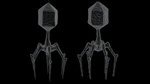 Bacteriophage 2 pack