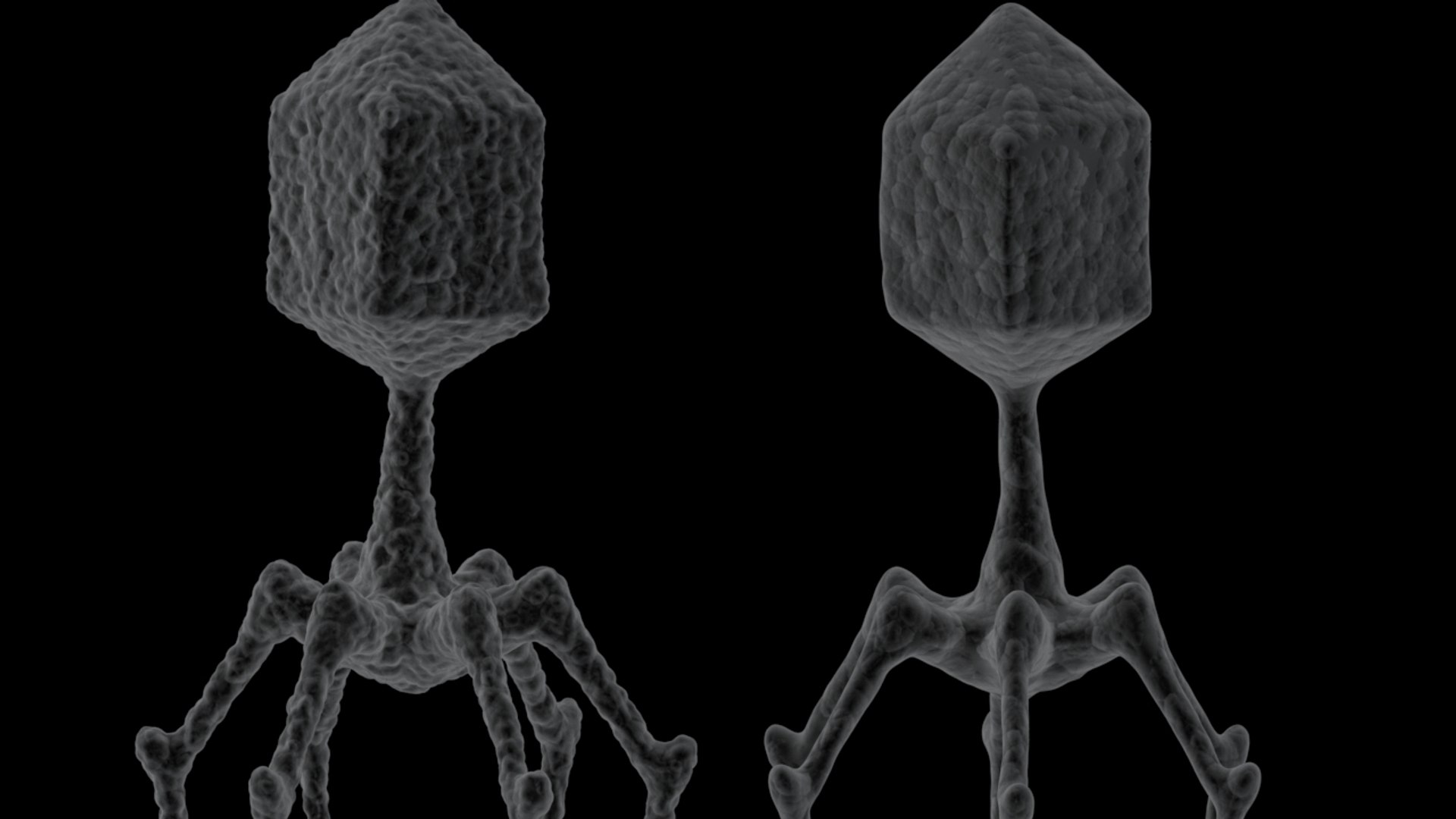 3D 2 bacteriophage model https://p.turbosquid.com/ts-thumb/IY/ks1xqb/vUKeoA2y/virus_12/jpg/1532516943/1920x1080/fit_q87/1a57946f275032dfe1ec0290669342befd6a5062/virus_12.jpg