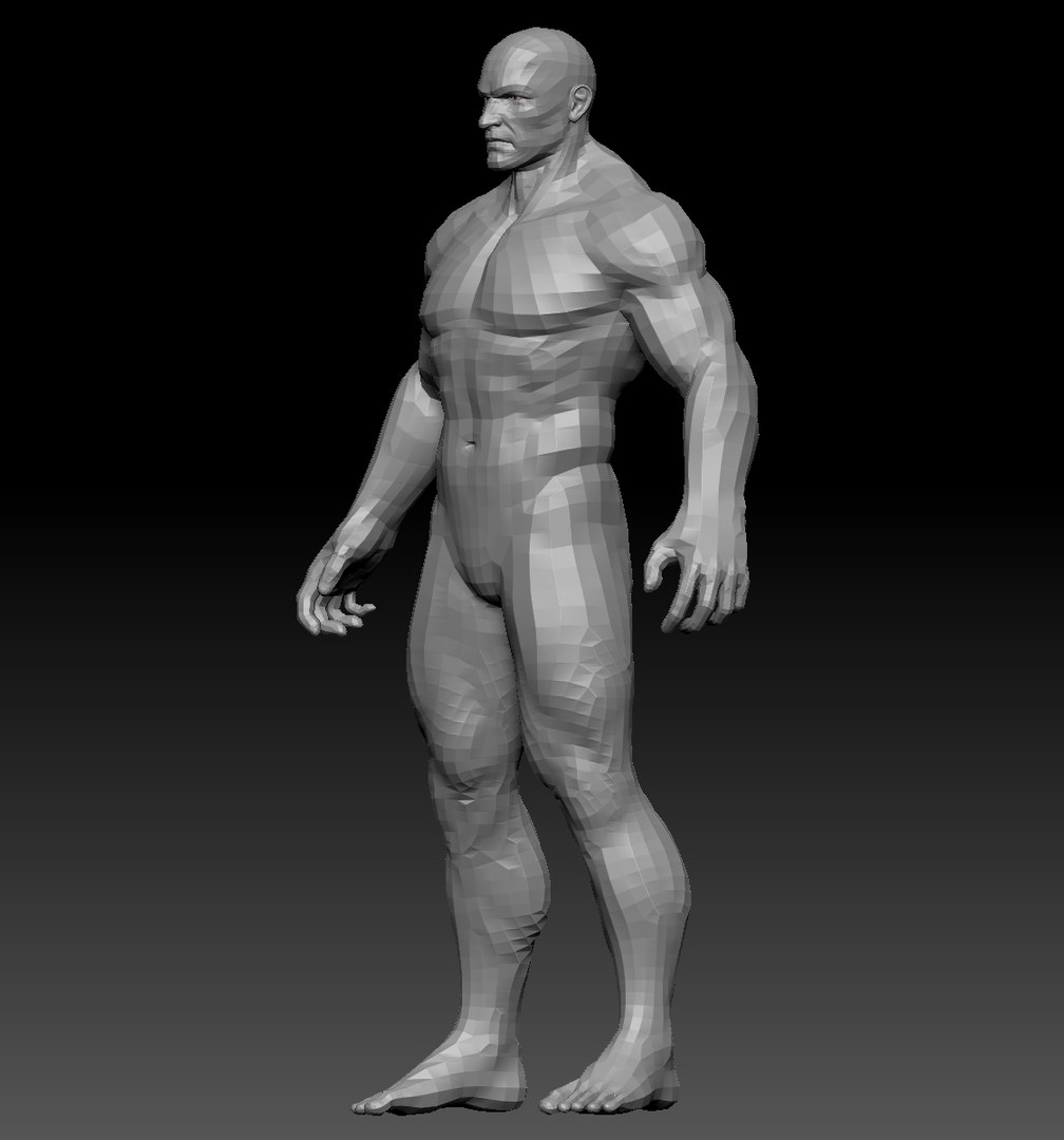 Man Anatomy Zbrush 3D Model - TurboSquid 1167001