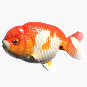 lion head rantyu 3d model