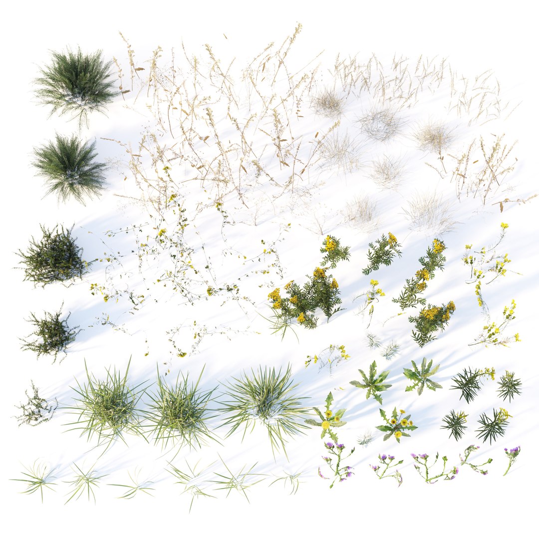 grass dry lawn 3D model https://p.turbosquid.com/ts-thumb/IZ/Ffxvp5/F0/render_4/jpg/1616526710/1920x1080/fit_q87/9d14d6bd45fa4fe69836c73934dfde153322e672/render_4.jpg