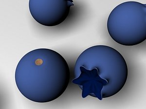 3d blueberries bilberries model