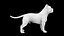 Statua del cane Pitbull, modello stampabile in 3D