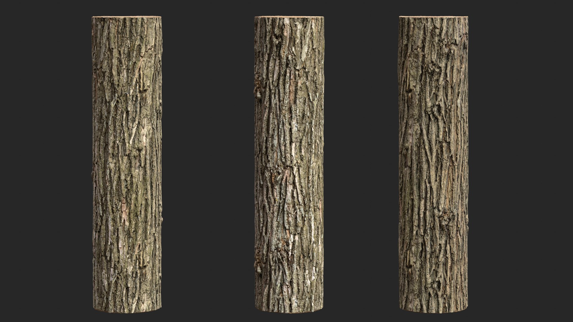 Black locust PBR tiled texture 16K model https://p.turbosquid.com/ts-thumb/IZ/h7p3b8/3N/black_locust_08/jpg/1747726696/1920x1080/fit_q87/d506e84e3b499cbbddc041842ba8368d2f361a9f/black_locust_08.jpg