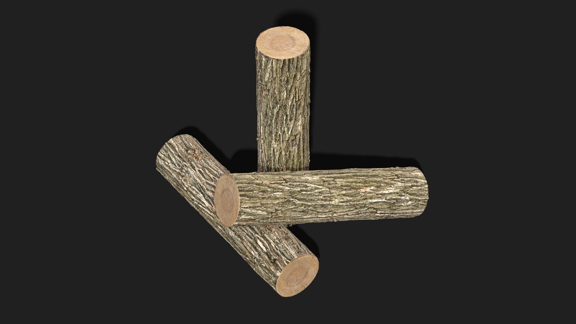 Black locust PBR tiled texture 16K model https://p.turbosquid.com/ts-thumb/IZ/h7p3b8/C8/black_locust_12/jpg/1747727579/1920x1080/fit_q87/46bc96ae65869f9f12fe459284fdb4a14879807e/black_locust_12.jpg