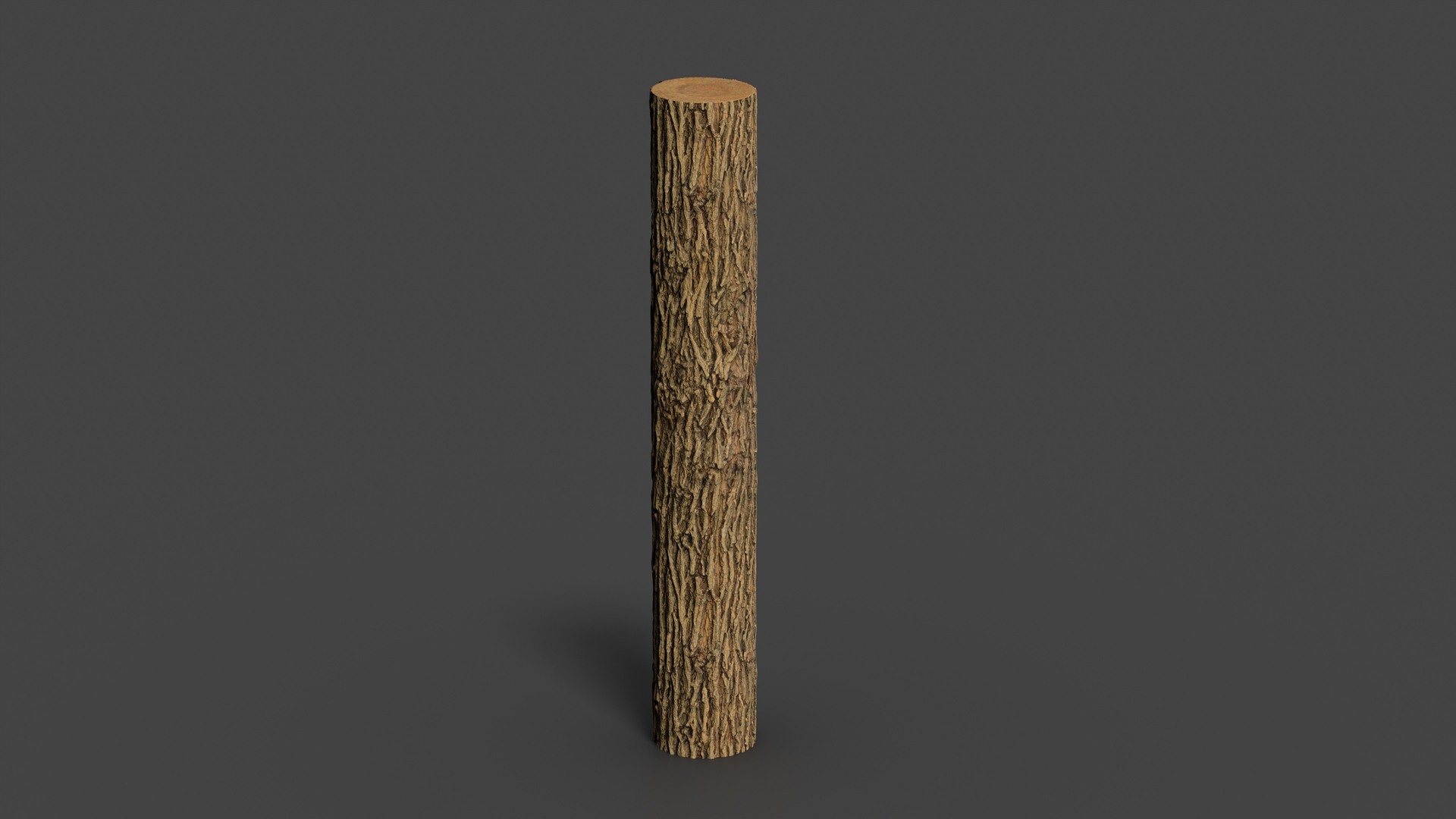 Black locust PBR tiled texture 16K model https://p.turbosquid.com/ts-thumb/IZ/h7p3b8/EO/black_locusa_fullquality/jpg/1747635237/1920x1080/turn_fit_q99/6782091337f38ab8cfe52f753c793888452ef83c/black_locusa_fullquality-1.jpg