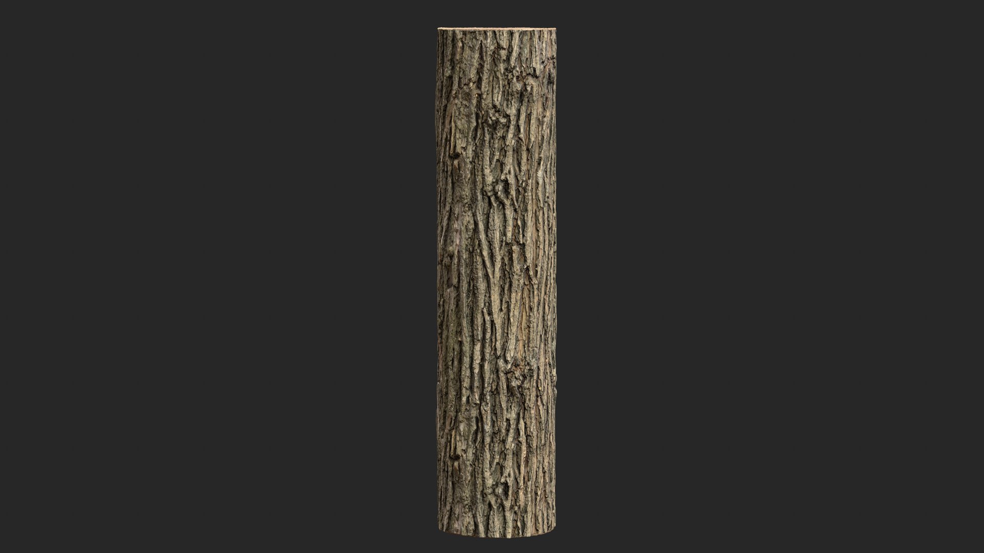 Black locust PBR tiled texture 16K model https://p.turbosquid.com/ts-thumb/IZ/h7p3b8/P5/black_locust_07/jpg/1747726696/1920x1080/fit_q87/ec97210dc908fcb50f509424c759442fa442d037/black_locust_07.jpg