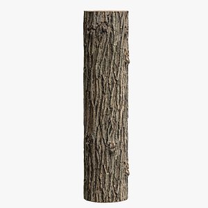 Black locust PBR tiled texture 16K