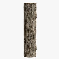Black locust PBR tiled texture 16K