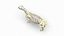 풀 말 여성 해부학 정적