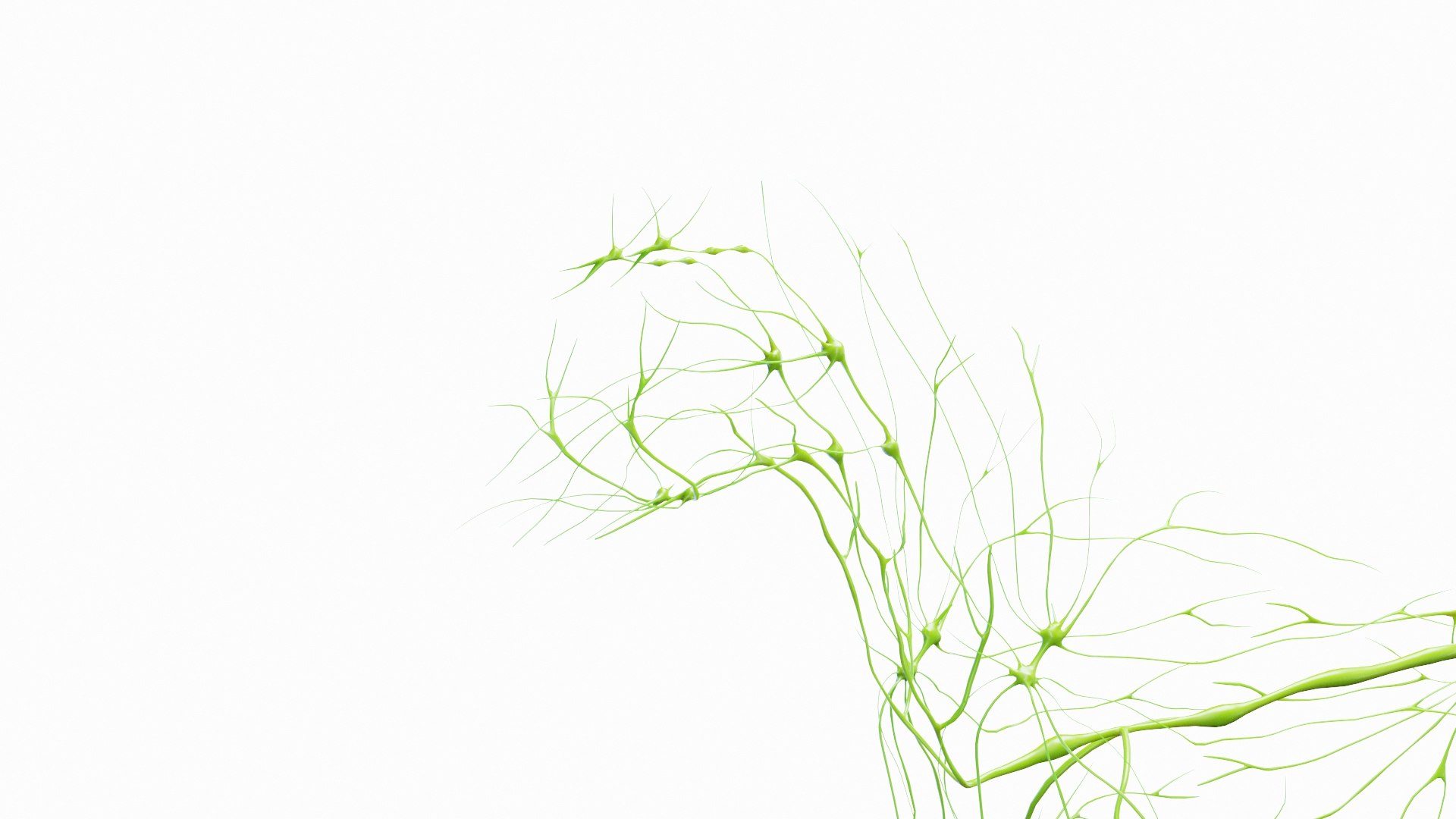 Full Horse Female Anatomy Static model https://p.turbosquid.com/ts-thumb/IZ/jCMecO/rS/horse_male_lymphatic_0005/jpg/1718047950/1920x1080/fit_q87/0efc5022410177446b9b0bd90a5e12d9b6732a44/horse_male_lymphatic_0005.jpg
