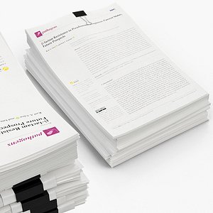 3D Office Paper Archive with Binder Clips White