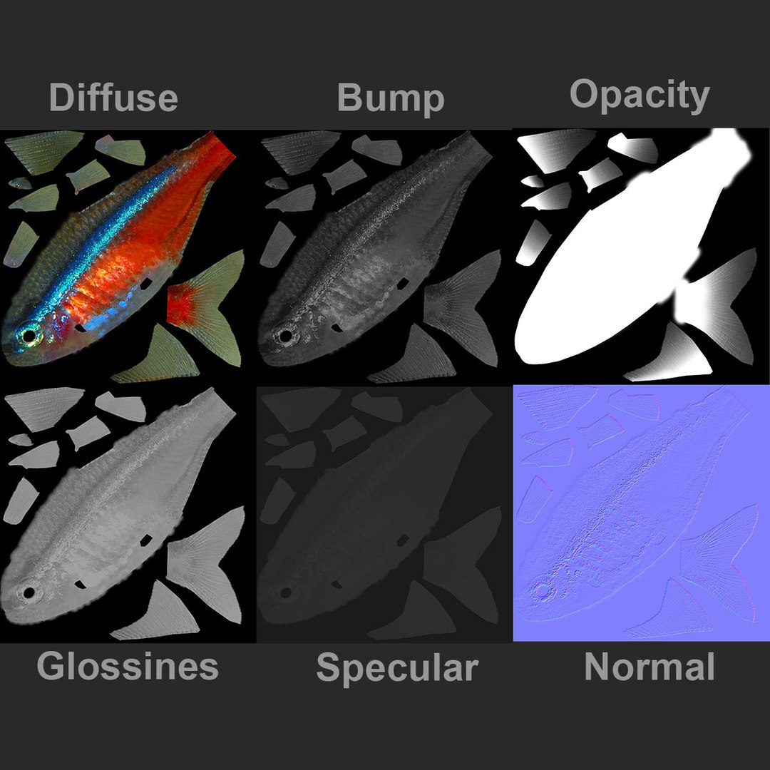 realistic neon tetra 3D model https://p.turbosquid.com/ts-thumb/IZ/nPwICf/6L3k2G3I/ryukingoldfish_rr38/jpg/1551609269/1920x1080/fit_q87/632819f0b47aa86127257d27074bf42f8a0797b4/ryukingoldfish_rr38.jpg