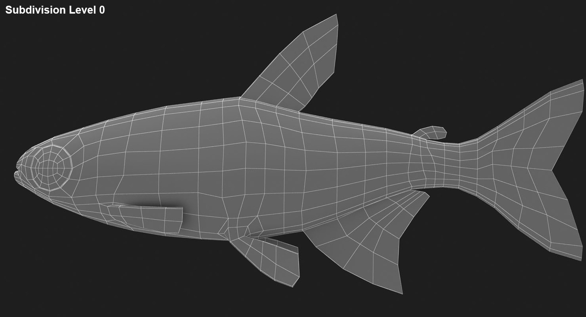 realistic neon tetra 3D model https://p.turbosquid.com/ts-thumb/IZ/nPwICf/TeNVC9nm/ryukingoldfish_rr29/jpg/1551609268/1920x1080/fit_q87/70b94f1e4cc386f8c4d18da795c0c85219271ded/ryukingoldfish_rr29.jpg