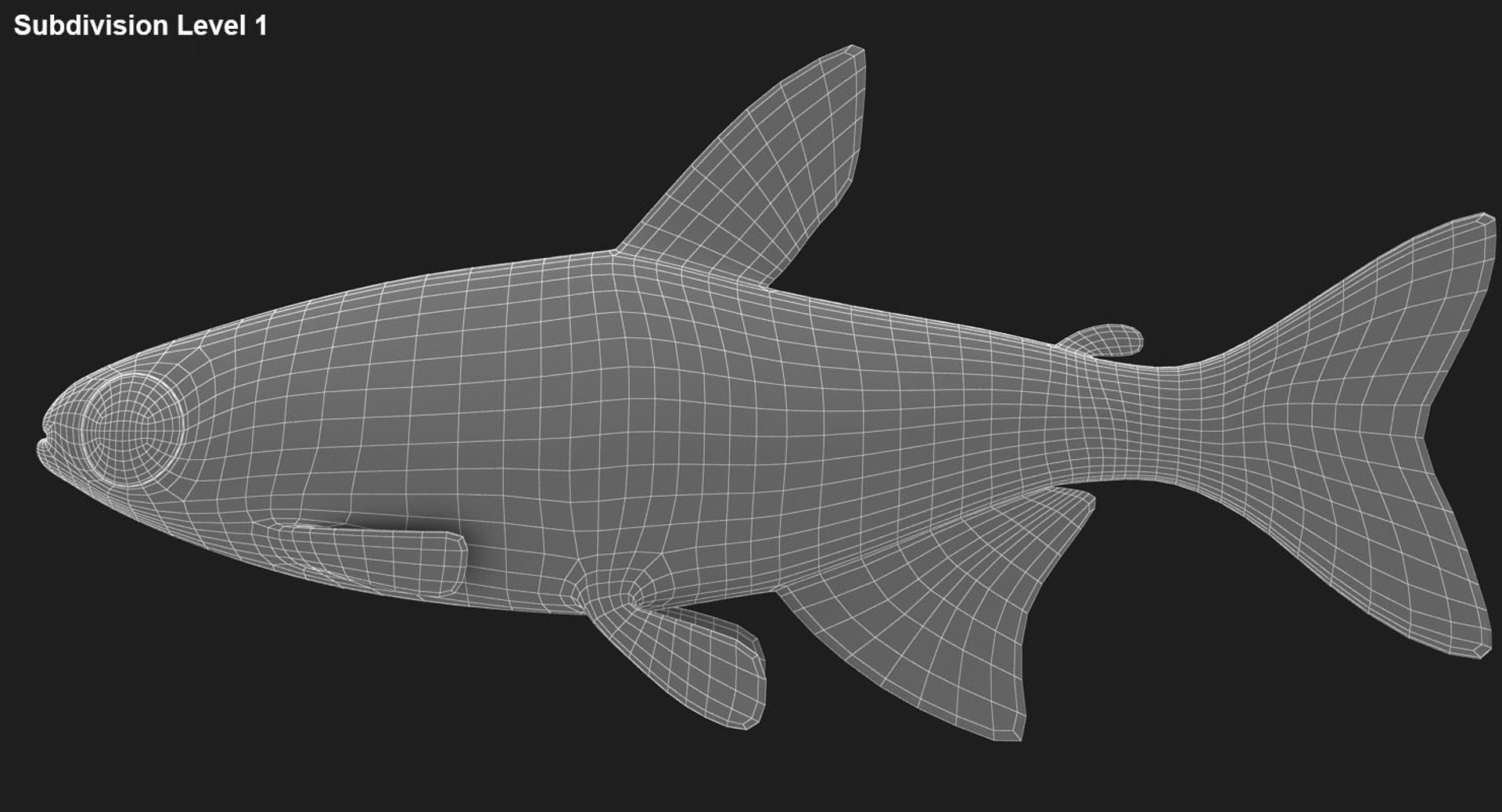 realistic neon tetra 3D model https://p.turbosquid.com/ts-thumb/IZ/nPwICf/fDrKAWlM/ryukingoldfish_rr31/jpg/1551609268/1920x1080/fit_q87/08480b60ed9ac12416b5d44d38ba86950d56c7bb/ryukingoldfish_rr31.jpg