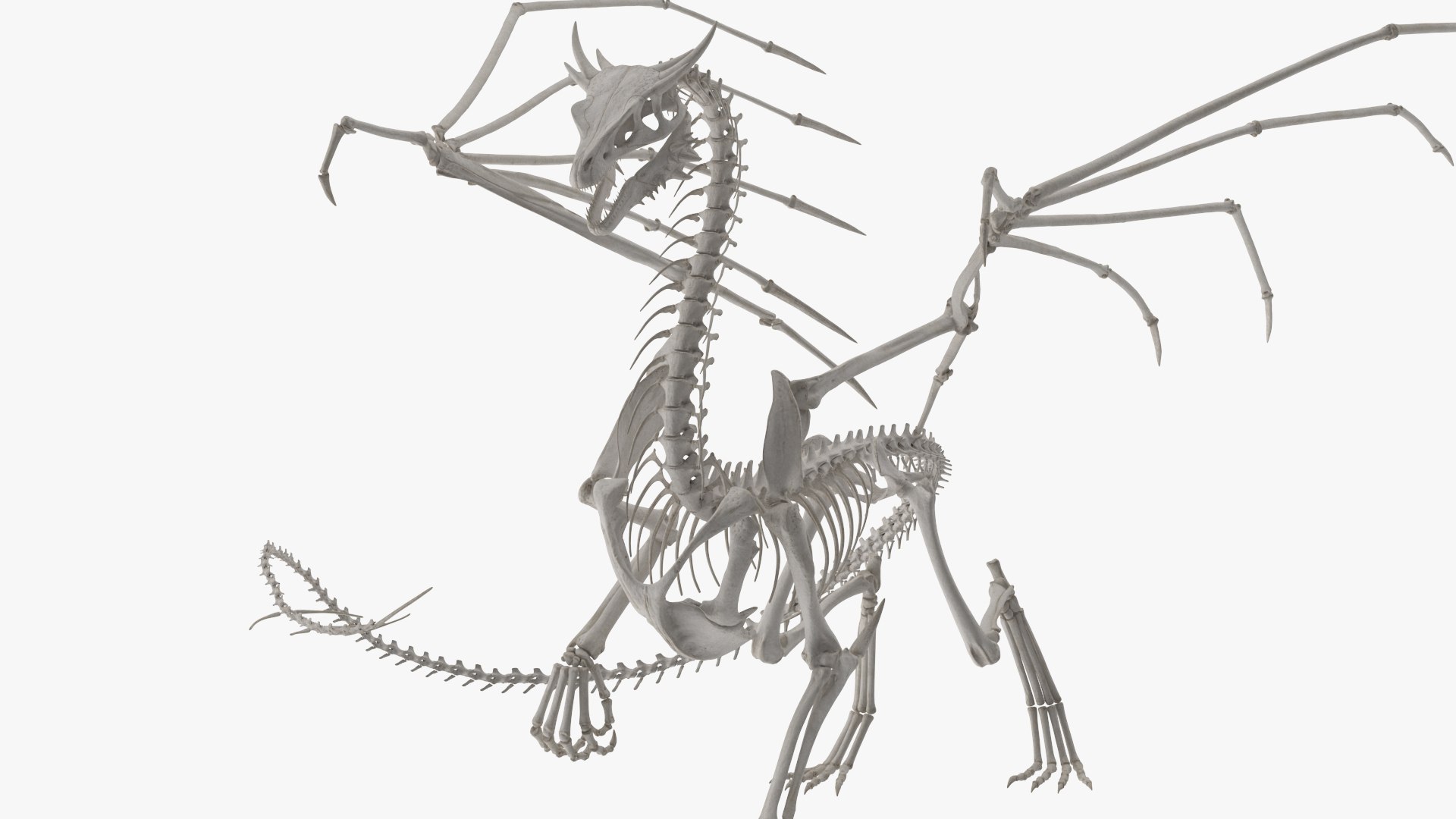 Dragon Skeleton Posed 3D https://p.turbosquid.com/ts-thumb/IZ/wtjgAO/8t/dragon_skeleton_posed_002/jpg/1741047101/1920x1080/fit_q87/11c1080c42d9b99cb6cad8427e75711afeaf3290/dragon_skeleton_posed_002.jpg