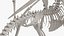 Dragon Skeleton Posed 3D