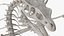 Dragon Skeleton Posed 3D