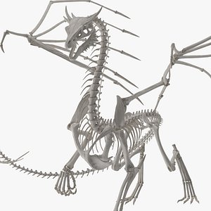 Dragon Skeleton Posed