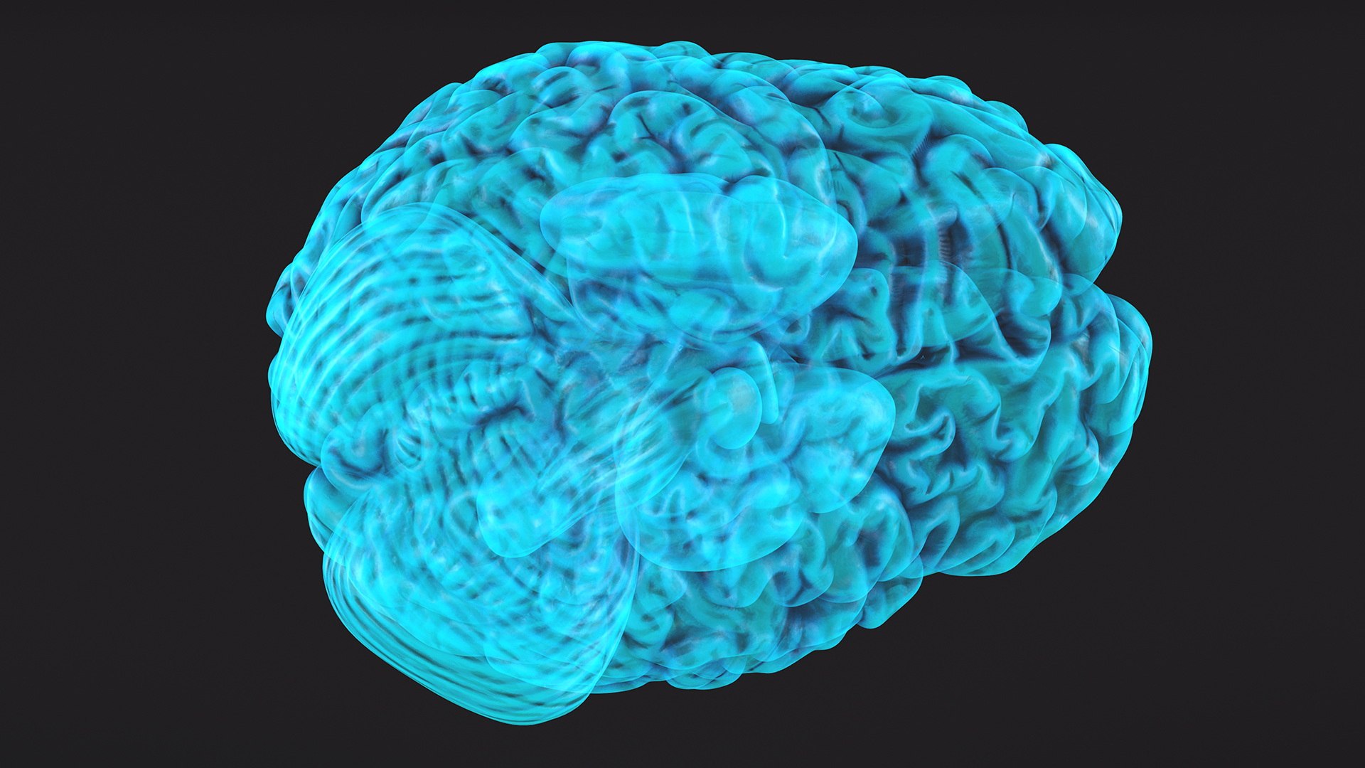 3D Xray Brain Hologram https://p.turbosquid.com/ts-thumb/Ia/CLJUhS/8x/xraybrainhologramc4dmodel008/jpg/1705611831/1920x1080/fit_q87/1b835dea2b9d58abf34da09d75f93cd0219be370/xraybrainhologramc4dmodel008.jpg