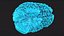Ologramma cerebrale a raggi X