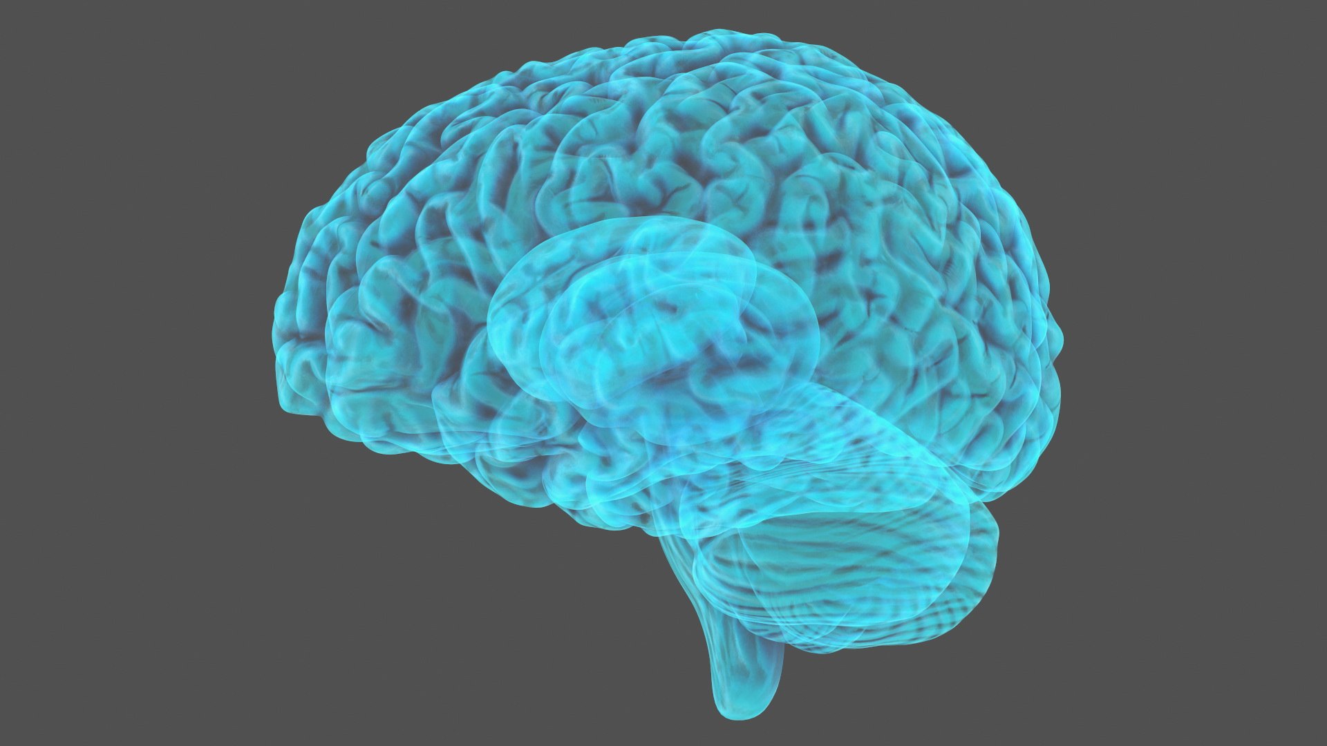 3D Xray Brain Hologram https://p.turbosquid.com/ts-thumb/Ia/CLJUhS/E6/xraybrainhologramc4dmodel013/jpg/1705611855/1920x1080/fit_q87/b2584c93528f0ba6f20b4b139b6a80d7f34b5745/xraybrainhologramc4dmodel013.jpg