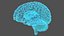 Ologramma cerebrale a raggi X