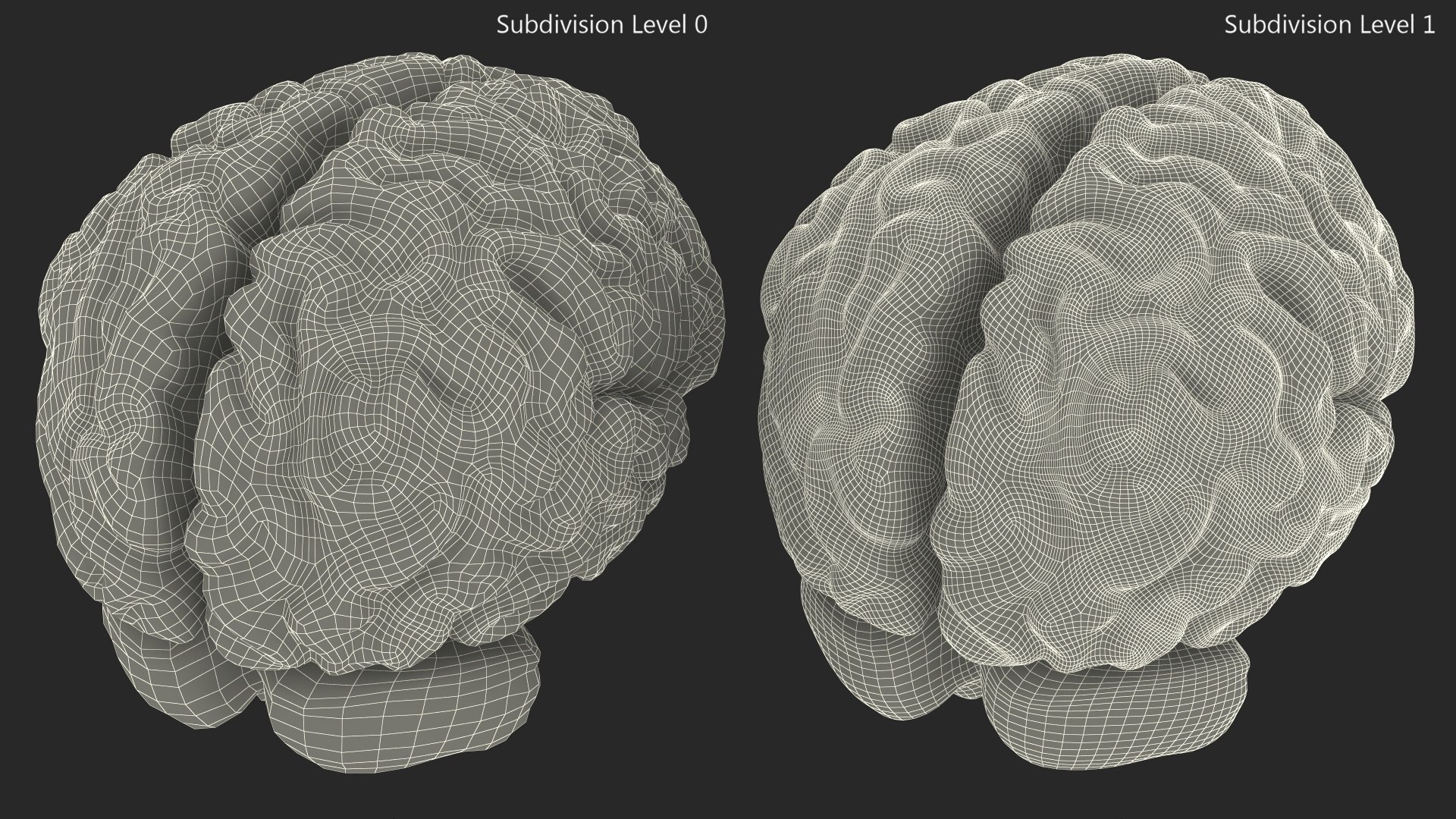 3D Xray Brain Hologram https://p.turbosquid.com/ts-thumb/Ia/CLJUhS/FU/xraybrainhologramc4dmodel022/jpg/1705611891/1920x1080/fit_q87/6a41281be1a622acd1f2d83cddd99db2600c10c7/xraybrainhologramc4dmodel022.jpg