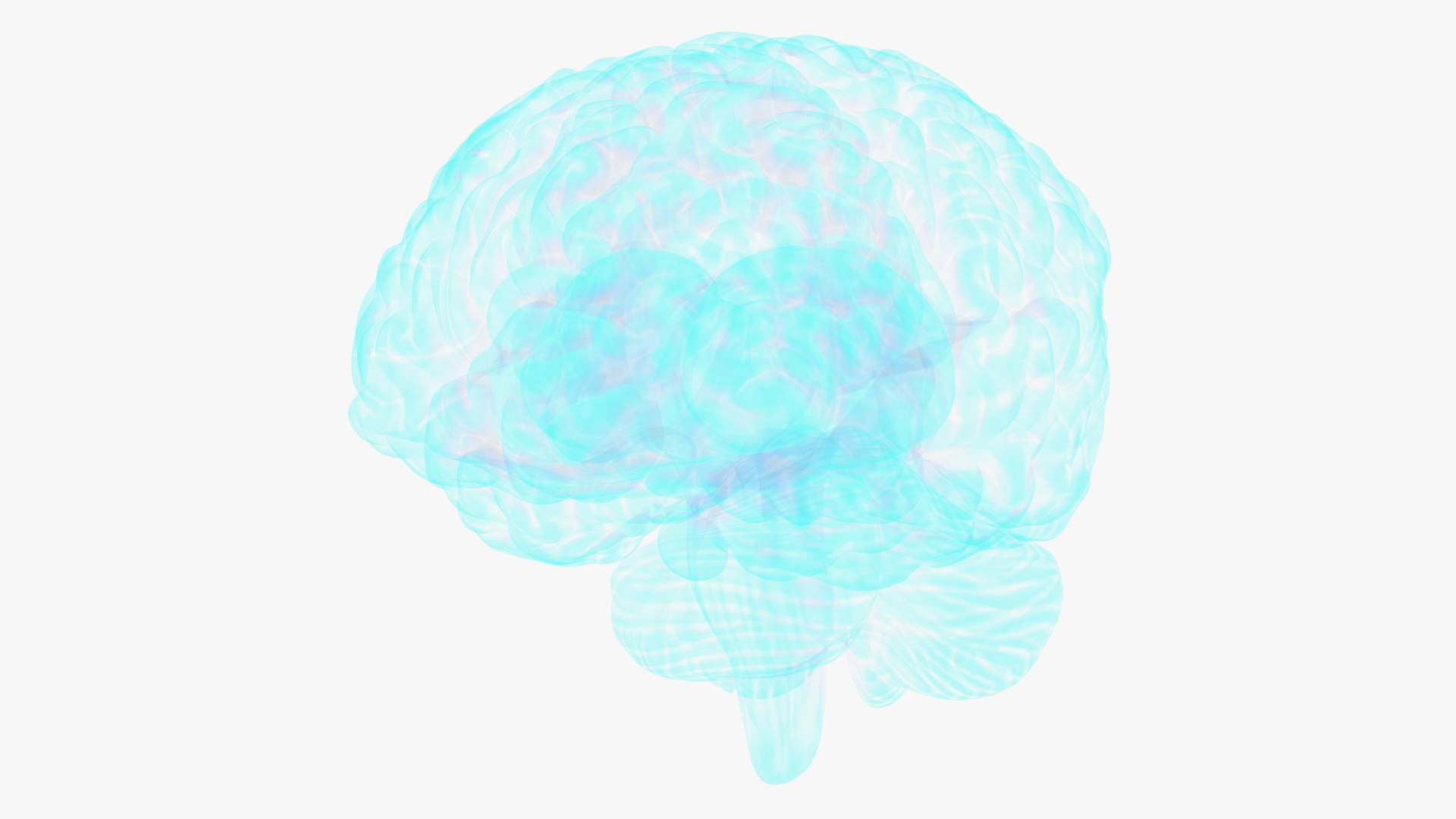 3D Xray Brain Hologram https://p.turbosquid.com/ts-thumb/Ia/CLJUhS/HF/xraybrainhologramc4dmodel017/jpg/1705611871/1920x1080/fit_q87/0aebf291892e960251ea42af7f4faff96f1730a7/xraybrainhologramc4dmodel017.jpg