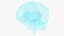 Ologramma cerebrale a raggi X
