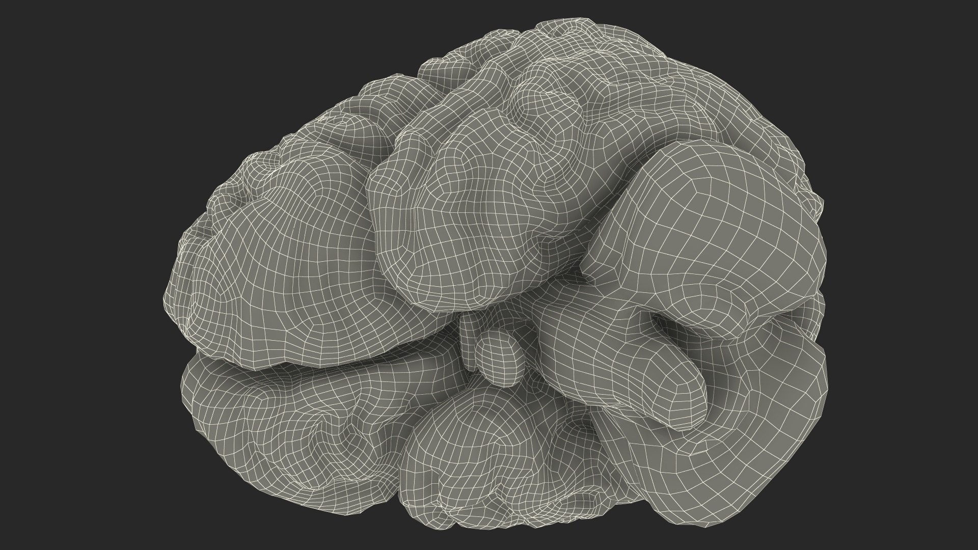3D Xray Brain Hologram https://p.turbosquid.com/ts-thumb/Ia/CLJUhS/Mk/xraybrainhologramc4dmodel032/jpg/1705611937/1920x1080/fit_q87/a82384ca56d2c6c633dfc6100df3acd75f61b792/xraybrainhologramc4dmodel032.jpg