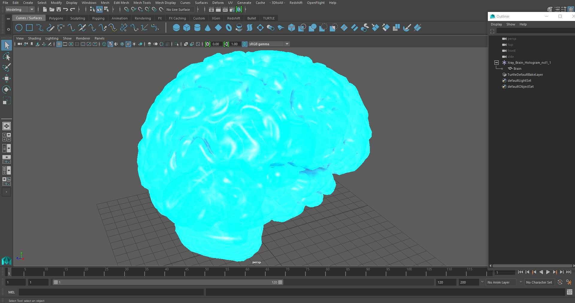 3D Xray Brain Hologram https://p.turbosquid.com/ts-thumb/Ia/CLJUhS/Vk/xraybrainhologramc4dmodel029/jpg/1705611925/1920x1080/fit_q87/e9a41b86595f7272291ab107bab9dbd209b3b20b/xraybrainhologramc4dmodel029.jpg