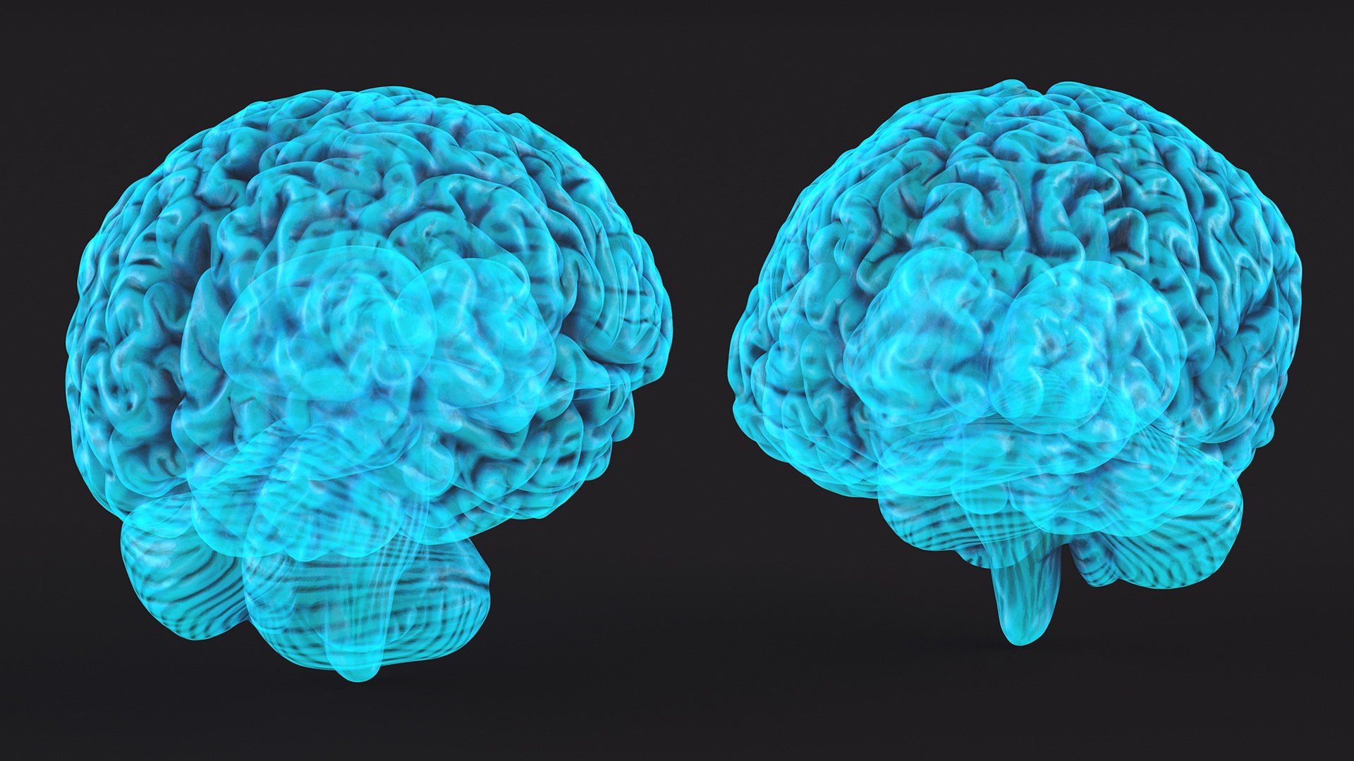 3D Xray Brain Hologram https://p.turbosquid.com/ts-thumb/Ia/CLJUhS/YF/xraybrainhologramc4dmodel007/jpg/1705611827/1920x1080/fit_q87/fb630c52b2c96188622608d7e4aa21460200bb34/xraybrainhologramc4dmodel007.jpg