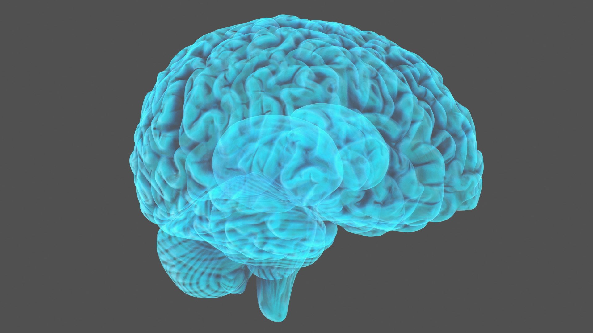 3D Xray Brain Hologram https://p.turbosquid.com/ts-thumb/Ia/CLJUhS/YM/xraybrainhologramc4dmodel011/jpg/1705611844/1920x1080/fit_q87/3559895ae4443f6cac46e1e7a108e37b6af8271f/xraybrainhologramc4dmodel011.jpg