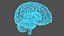 Ologramma cerebrale a raggi X
