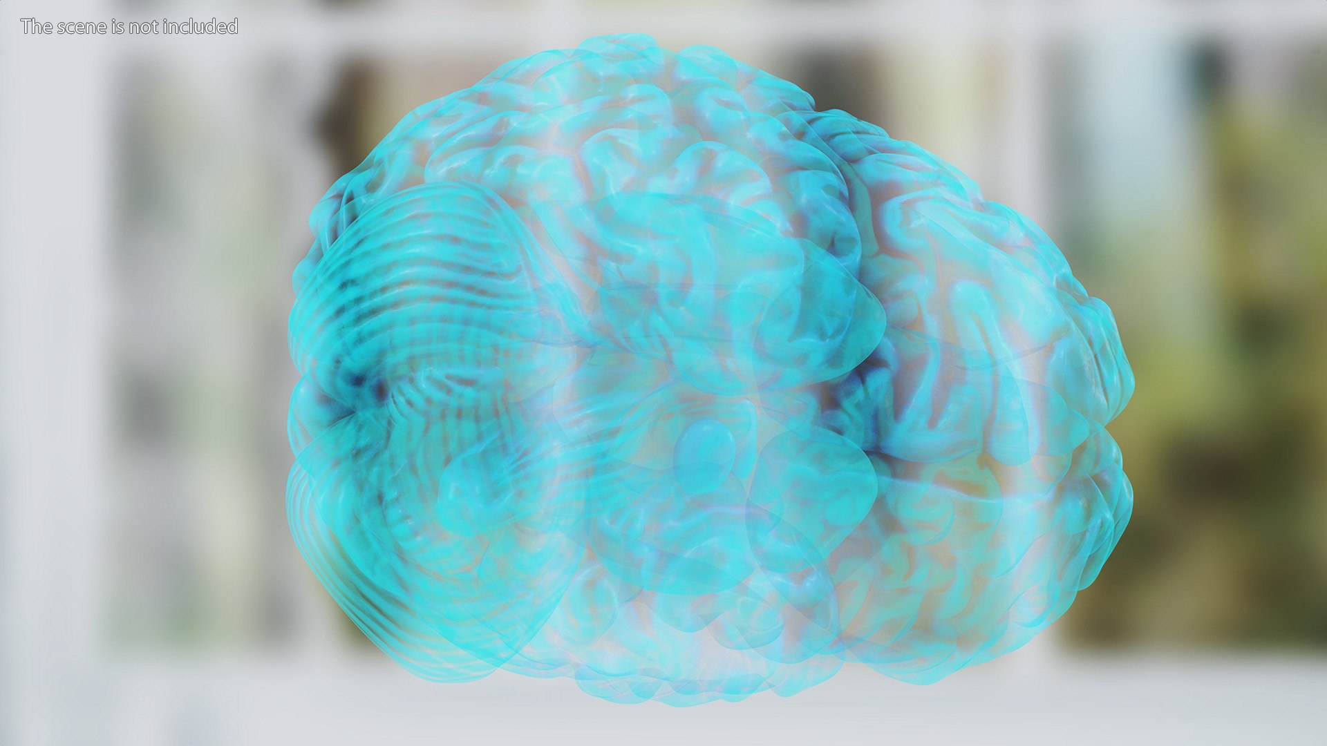 3D Xray Brain Hologram https://p.turbosquid.com/ts-thumb/Ia/CLJUhS/co/xraybrainhologramc4dmodel006/jpg/1705611822/1920x1080/fit_q87/5dd0205a7aa3fc33b8c09236b46d8f6e0fe1665b/xraybrainhologramc4dmodel006.jpg