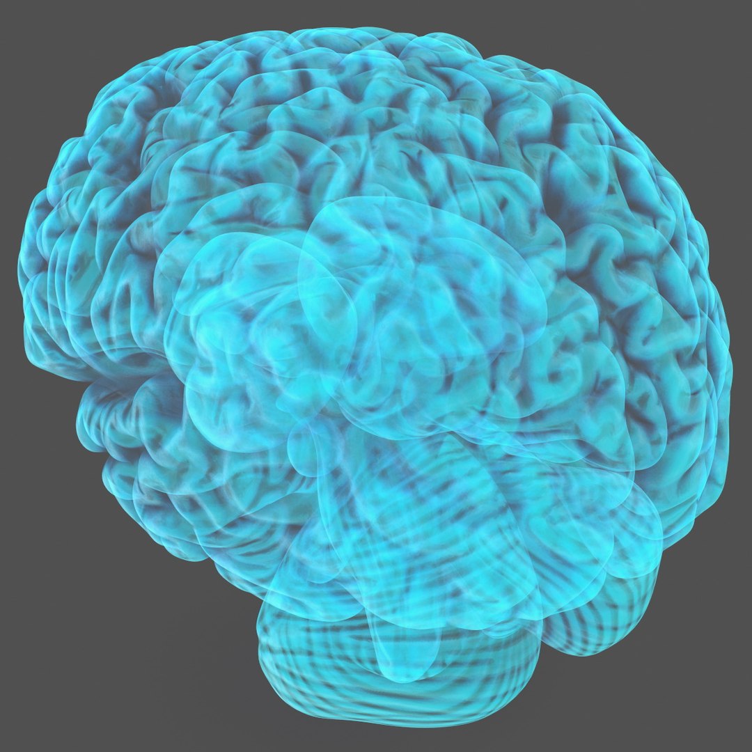 Xray Brain Hologram 3D model preview