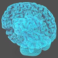 Xray Brain Hologram