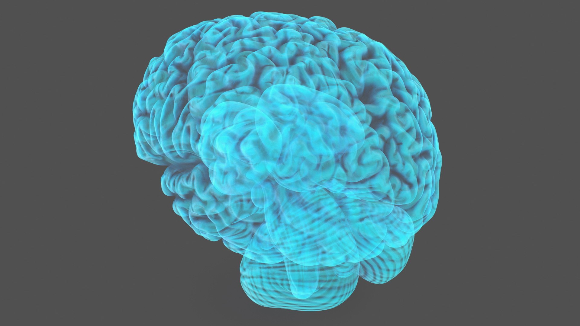 3D Xray Brain Hologram https://p.turbosquid.com/ts-thumb/Ia/CLJUhS/eG/xraybrainhologramc4dmodel001/jpg/1705611291/1920x1080/fit_q87/c0e84ee51a197e0bd4e772aa7c10954dbf19836f/xraybrainhologramc4dmodel001.jpg