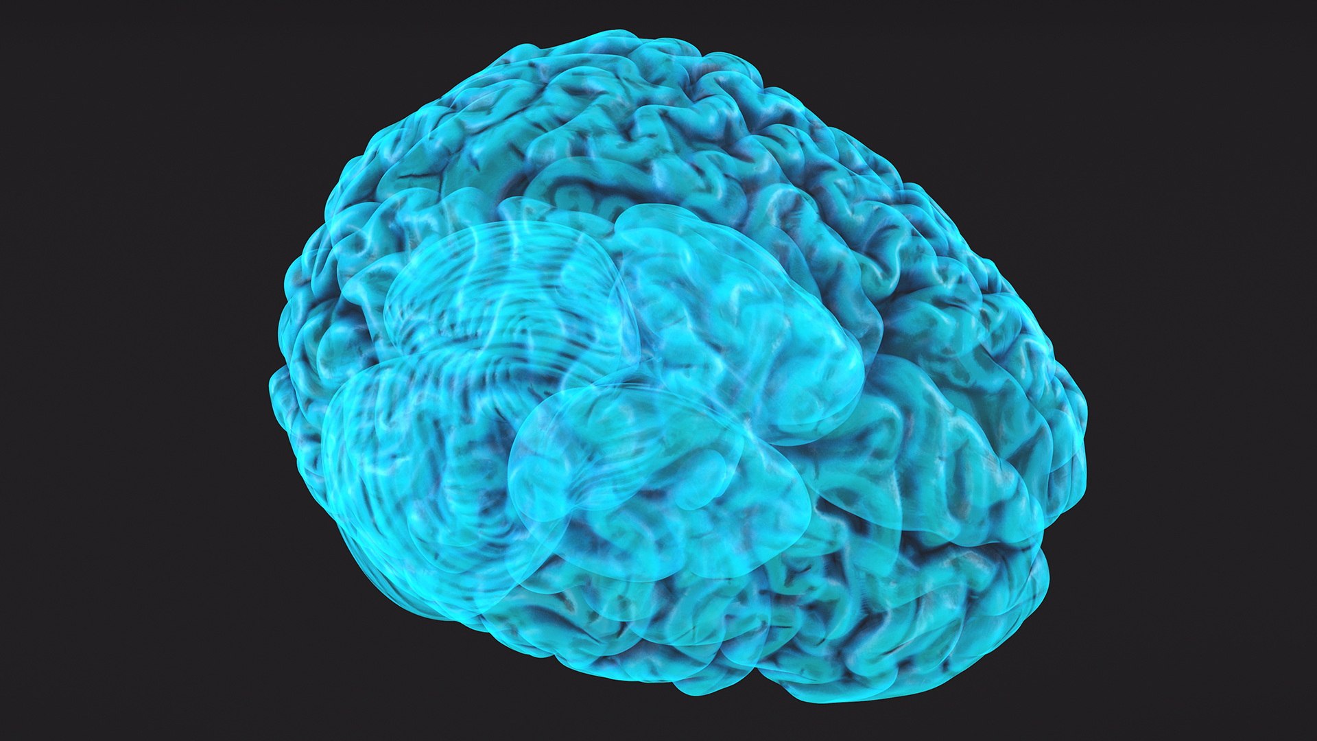 3D Xray Brain Hologram https://p.turbosquid.com/ts-thumb/Ia/CLJUhS/q5/xraybrainhologramc4dmodel009/jpg/1705611835/1920x1080/fit_q87/6157469009ab4ea34c49838278f38821acf43bfb/xraybrainhologramc4dmodel009.jpg