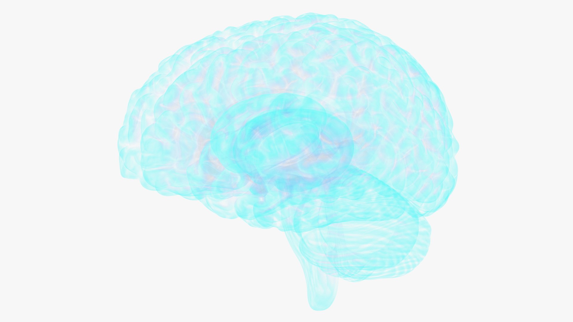3D Xray Brain Hologram https://p.turbosquid.com/ts-thumb/Ia/CLJUhS/t8/xraybrainhologramc4dmodel018/jpg/1705611875/1920x1080/fit_q87/63ef46dcfe31934a92d09d533fd7acde3218fe1f/xraybrainhologramc4dmodel018.jpg