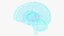 Ologramma cerebrale a raggi X