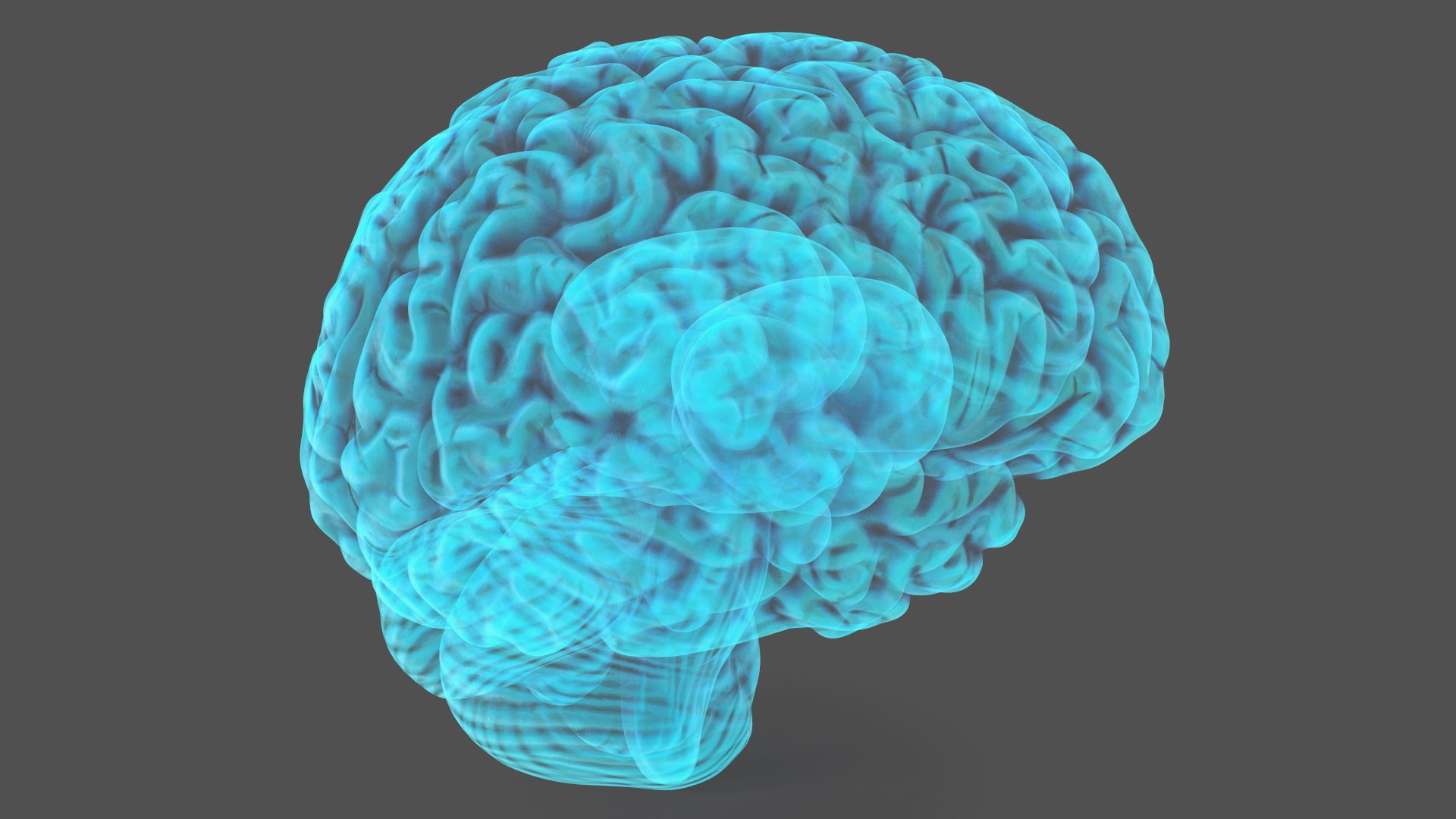 3D Xray Brain Hologram https://p.turbosquid.com/ts-thumb/Ia/CLJUhS/uv/xraybrainhologramc4dmodel010/jpg/1705611840/1920x1080/fit_q87/2b1a8f33b03ea3840e07b47fc90d73ef320f65f7/xraybrainhologramc4dmodel010.jpg
