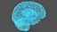 Ologramma cerebrale a raggi X